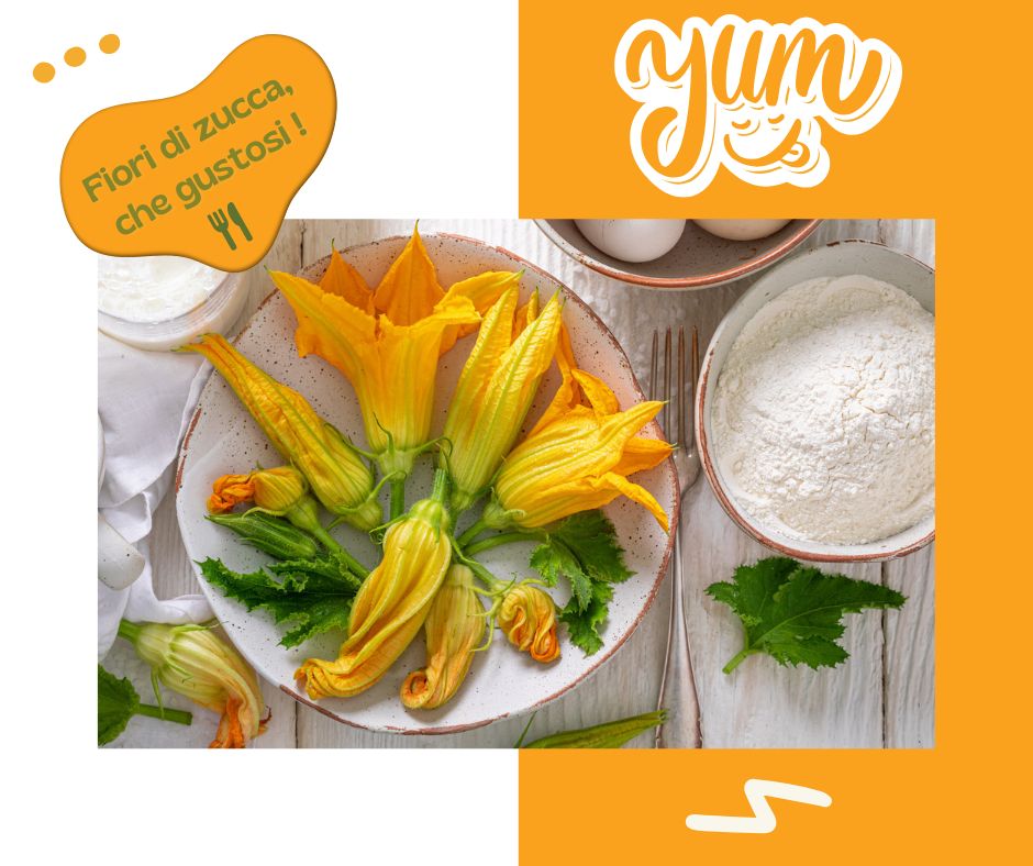 Fiori di Zucca: La Guida Definitiva tra Gastronomia, Salute e Segreti di Freschezza